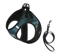 Night Sky with Trees print Dog Harness and Leash Set, Reflective Adjustable Puppy Vest for Small Medium Large Dogs, Cats