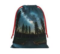 Night Sky With Trees Print Present Bag, Reusable Organizer For Holiday Celebrations, Xmas Party Favors