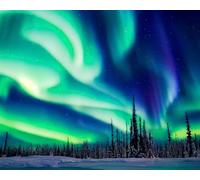Night Winter Landscape with Aurora Paint by Number for Adults Beginner Green Northern Lights Oil Painting by Numbers Kits with Brushes for Home Wall Decor (16X20 Inch)