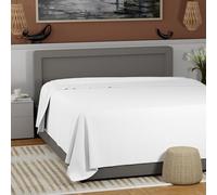 Night Zone Flat Sheet 100% Egyptian Cotton 800 Thread Count Hotel Quality Flat Bed Sheet (White, King)