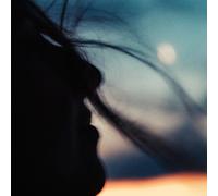 Nightfall, I Surrender to You