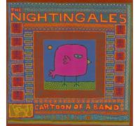 Nightingales - Cartoon of a Band