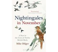 Nightingales in November