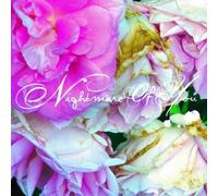 Nightmare Of You [VINYL]