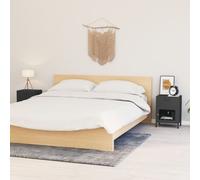 Nightstands 2 pcs Anthracite 40x30x54.5 cm Steel and Glass