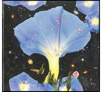 Nighttime Birds and Morning Stars