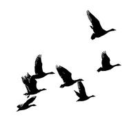 NIHENHAO Fly Bird Clear Stamps for Card Making Scrapbooking Background Silicone Seal Stamps for Embossing Album Silicone