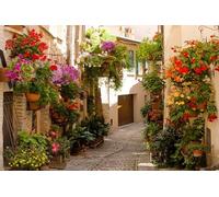 Nihilar 10x8ft European Floral Alley Backdrop Italian Vintage Building Flower Street Photography Background for Boho Weddings Honeymoon Valentines Italian Theme Party Garden Events Photo Studio Props