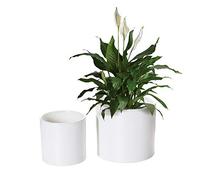 Nihow Flower Pot - 5 & 7 Inch Ceramic Planter Pots for Indoor Plants - Sturdy & Mordern Cylinder Plant Pot with Drainage & Removeable Rubber Plugs - Matte White (Set of 2) - Plants Not Included