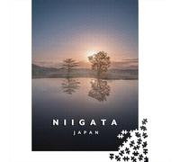 Niigata Rice Fields Adult 1000-Piece Jigsaw Puzzle, 52x38cm/1000pcs; for Relaxed Evenings at The Table; White Cardboard for Simple Sorting