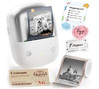 NIIMBOT B2 Pro Label Maker Machine, 300 DPI High Definition, Portable Thermal Label Printer with Fun APP for Photos, Scrapbook, Home,School Oragnization (Silver)