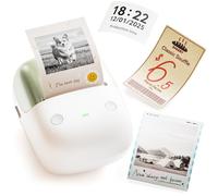 NIIMBOT B2 Pro Portable Label Maker with One-Button Instant Time Printing, 300 DPI Handheld Thermal Printer for Office, School, Home Organization