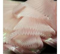 Niiyyjj Accordion Soft Pleated Fabrics Stage Background Decor Pleat Mesh Fabric By The Meter White beach pnnrk Straighten 1X1.45 M