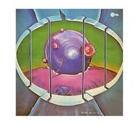 nik raicevik - Beyond The End Eternity [VINYL]