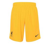 NIKE 2020-2021 Liverpool Goalkeeper Shorts (Yellow)
