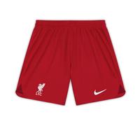 Nike 2022/23 Liverpool FC Stadium Short DJ7745-608 XL