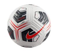 Nike Academy Plus FZ2979-100 ball