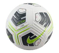 Nike Academy Plus FZ7540-100 ball
