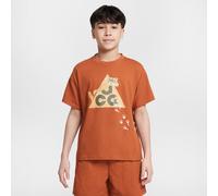 Nike ACG Older Kids' Dri-FIT T-Shirt - Brown - Polyester/Cotton S