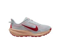Nike ACG Pegasus Trail 42 Gray Men