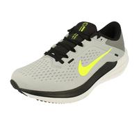 NIKE Men's Air Winflo 10 Low, Wolf Grey Volt Smoke Grey Black, 7 UK