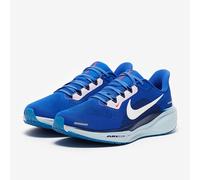 Nike Air Zoom Pegasus 41