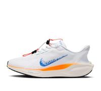 Nike Air Zoom Pegasus 41 EasyOn 'Blueprint Pack' HM0374-900 15