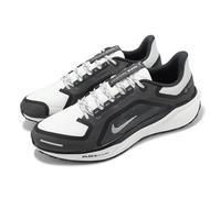 Nike Air Zoom Pegasus 41 GTX Gore-Tex Iron Grey White Men Running FQ1356-002