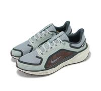 Nike Air Zoom Pegasus 41 GORE-TEX Running Shoes - HO24