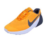 Nike Air Zoom TR 1 Mens Trainers Dx9016 706 - UK 7 | US 8 | EU 41