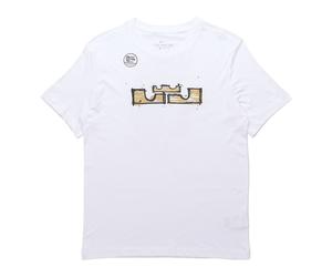 Nike AS Men's NK Dry LBJ SSNL LOGO Tee White DD0784-100 M