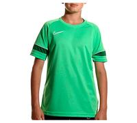 Nike Boy's Dri-FIT Academy 21 Short Sleeve Jersey, Lt Green Spark/White/Pine Green/White, XL