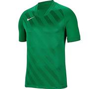 Nike Boy's Dri-FIT Challenge 3 JBY Short Sleeve Jersey, Pine Green/Pine Green/White, XL