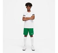 Nike Dri FIT Park 3 Big Kids Soccer Shorts 4-5 Years Green