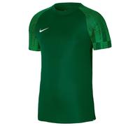 Nike Boys Jersey Academy in Green - Size 5-6Y