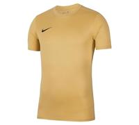 Nike Boys Y Nk Dry Park Vii Jsy T-Shirt, Jersey Gold/Black, 10 Years EU