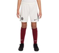Chelsea F.C. 2025/26 Stadium Away Older Kids' Nike Dri-FIT Football Replica Shorts - Grey - Polyester L