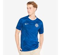 Chelsea F.C. 2025/26 Stadium Home Men's Nike Dri-FIT Football Replica Shirt - Blue - Polyester L