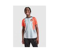 Nike Chelsea FC Pre Match Shirt Junior - Grey 13-15Y