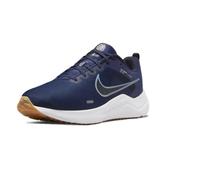 Nike Downshifter 12 M DD9293-400 shoe