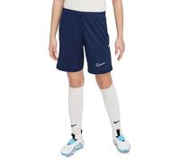 Nike Dri-fit Academy 25 Shorts Blue 8-10 Years Kids