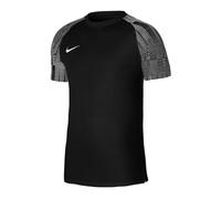 Nike Dri-Fit Academy SS M DH8031-010 T-shirt