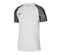 Nike Dri-Fit Academy SS M DH8031-104 T-shirt