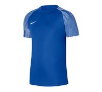 Nike Dri-Fit Academy SS M DH8031-463 T-shirt