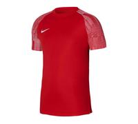 Nike Dri-Fit Academy SS M DH8031-657 T-shirt