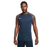 Nike Dri-Fit Academy SS M T-shirt DH8031-411