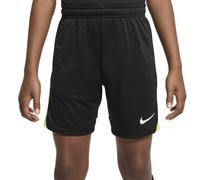 Nike Dri-fit Acdprk Big Shorts