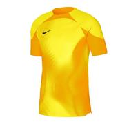 Nike Dri-FIT ADV Gardien 4 M DH7760-719 goalkeeper jersey