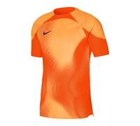 Nike Dri-FIT ADV Gardien 4 M DH7760-819 goalkeeper jersey