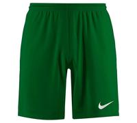 Nike Dri Fit Park 3 Knit Shorts